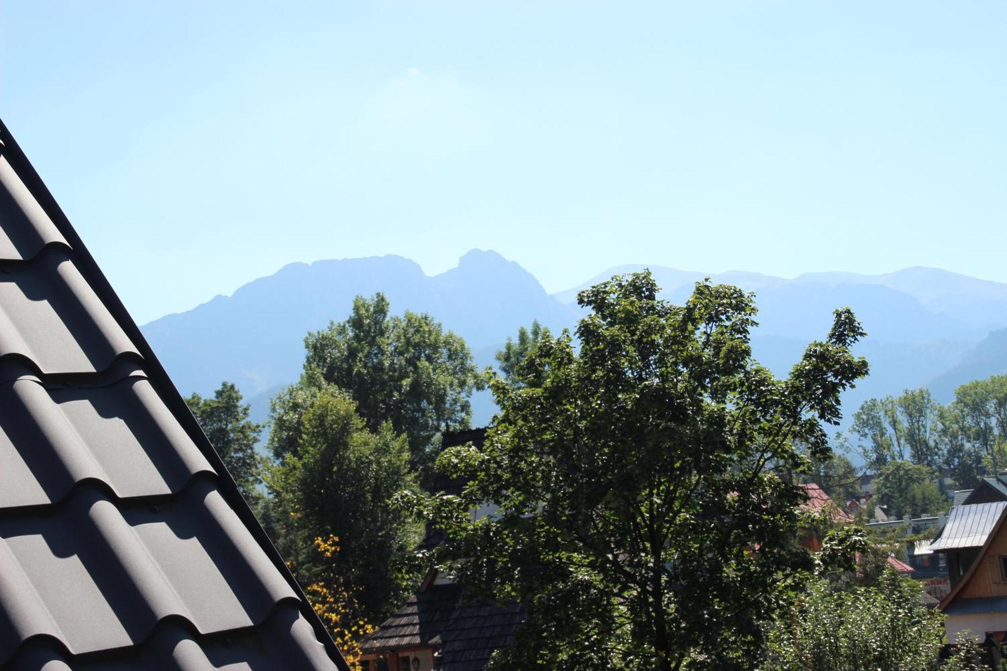 Zakosunflower Zakopane Dış mekan fotoğraf